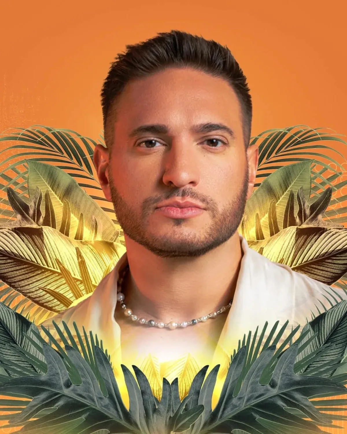 Jonas Blue flyer