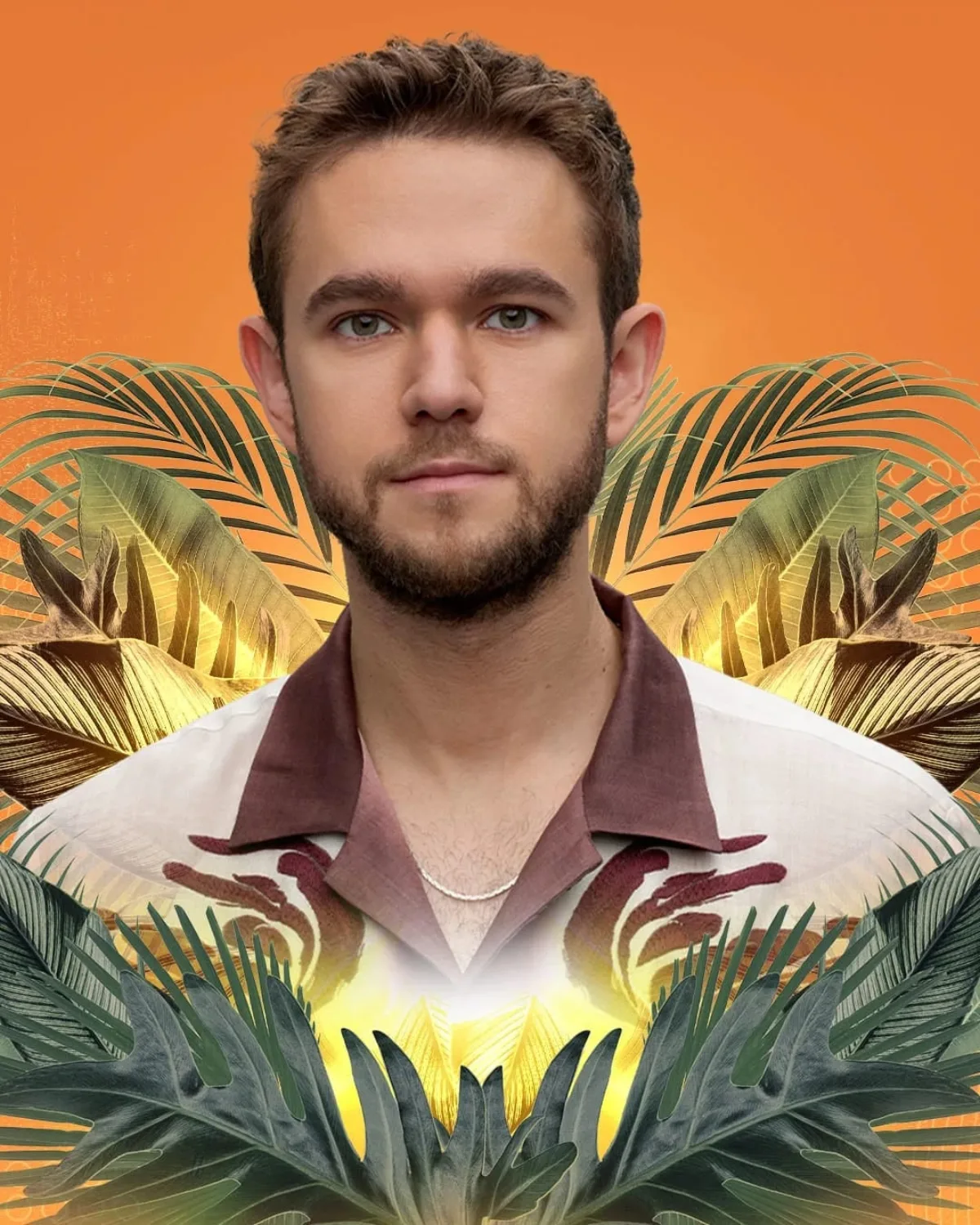 Zedd