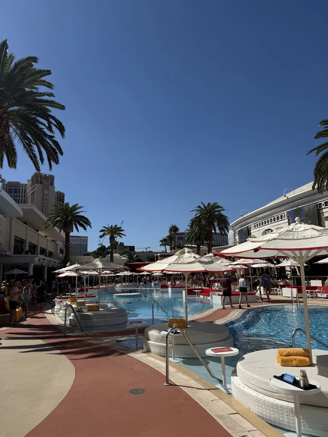 Las Vegas dayclub pool party swimwear dress code
