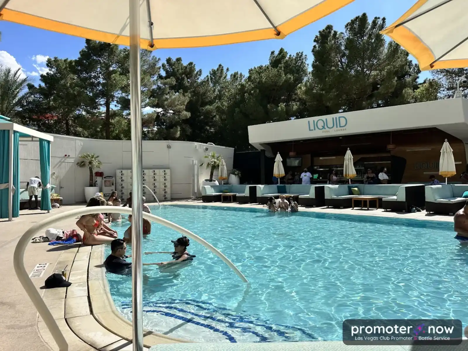 Liquid Pool Lounge Las Vegas