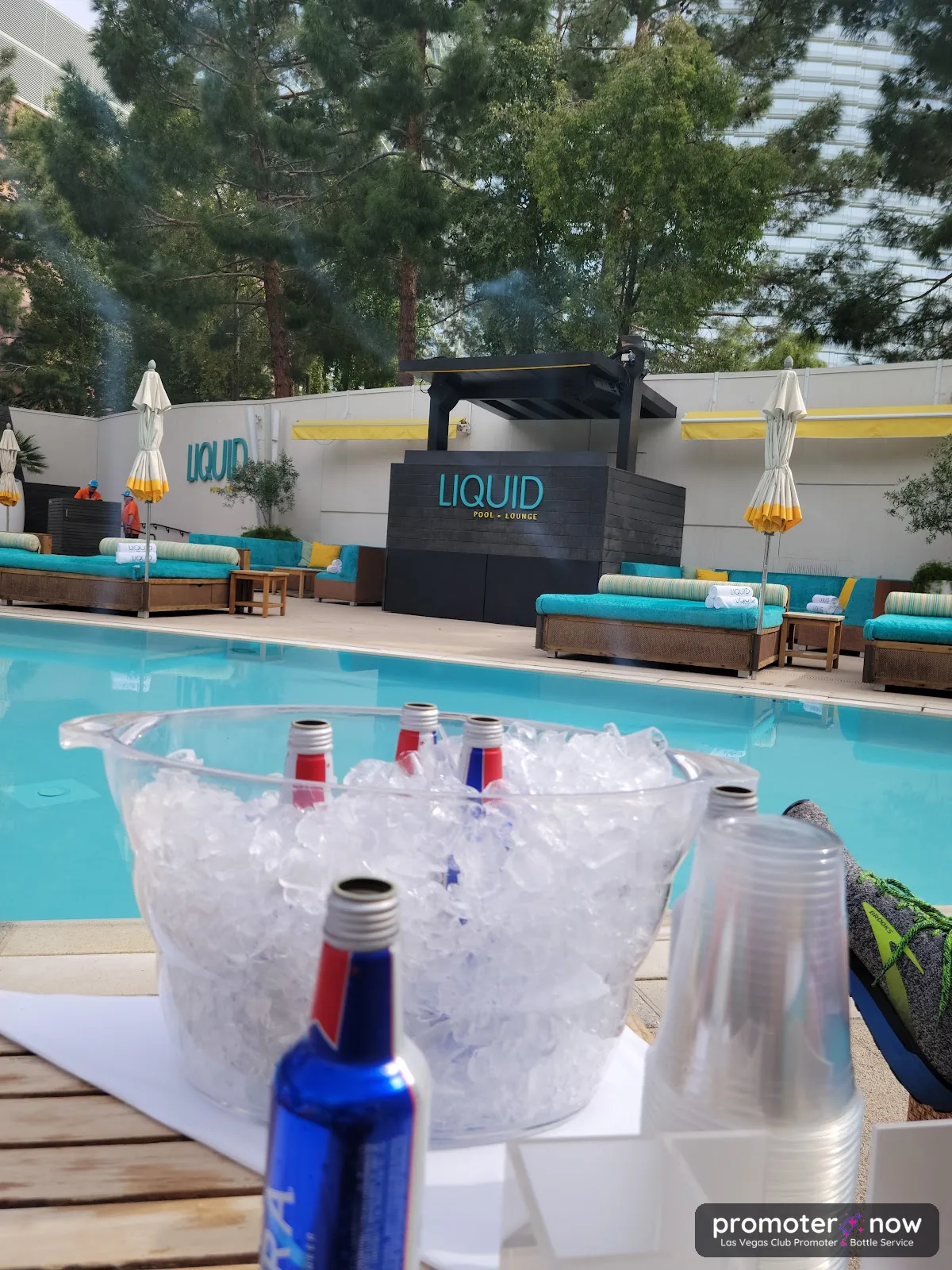Liquid Pool Lounge Aria Las Vegas pool party and DJ