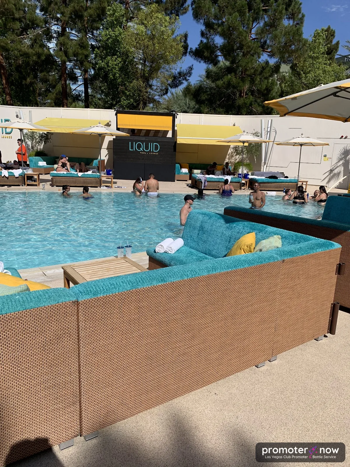 Liquid Pool Lounge Las Vegas