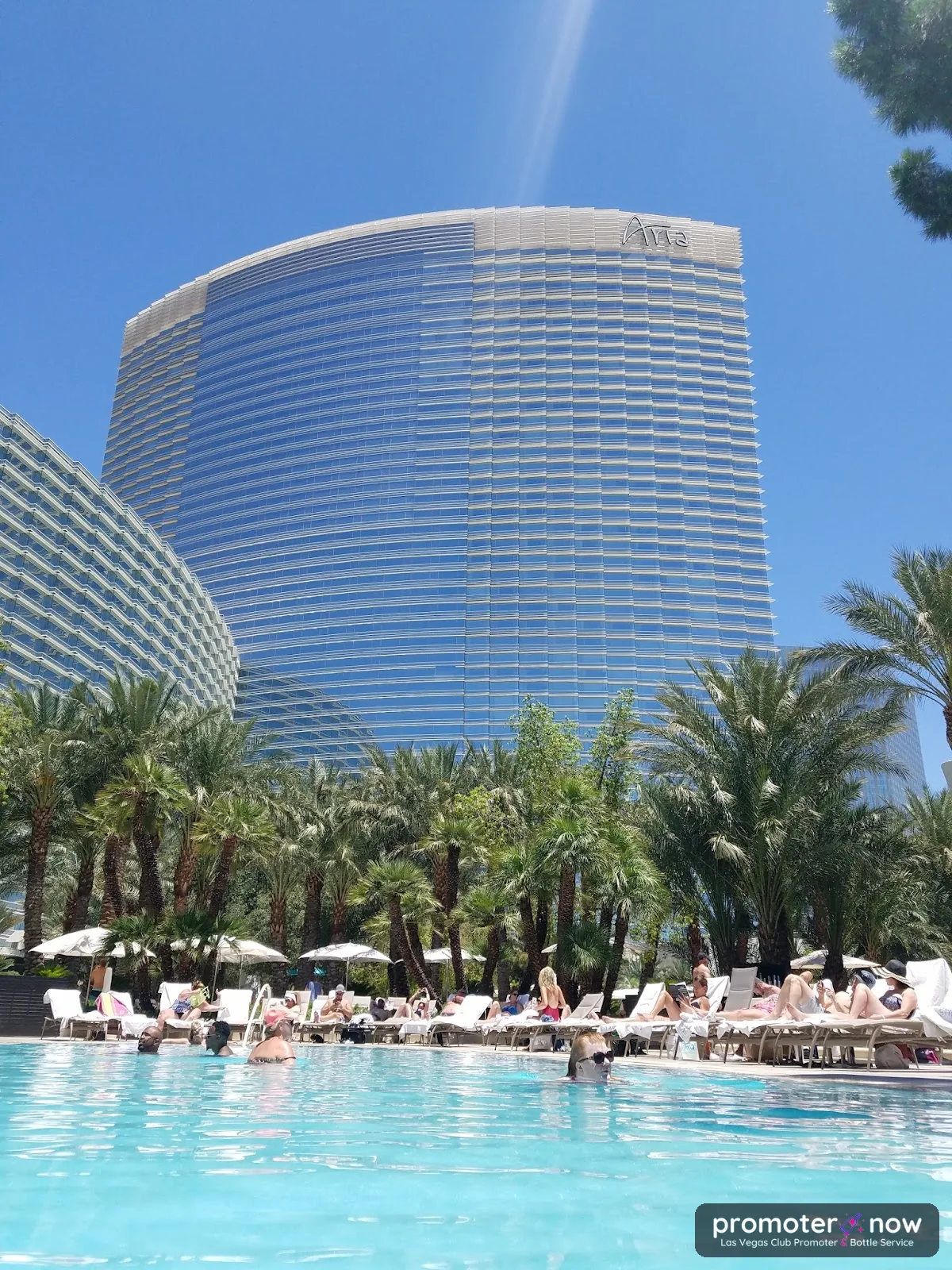 Liquid Pool Lounge Las Vegas