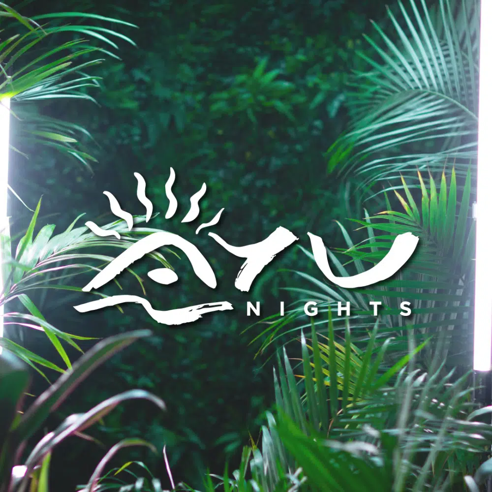 AYU Nights Vegas