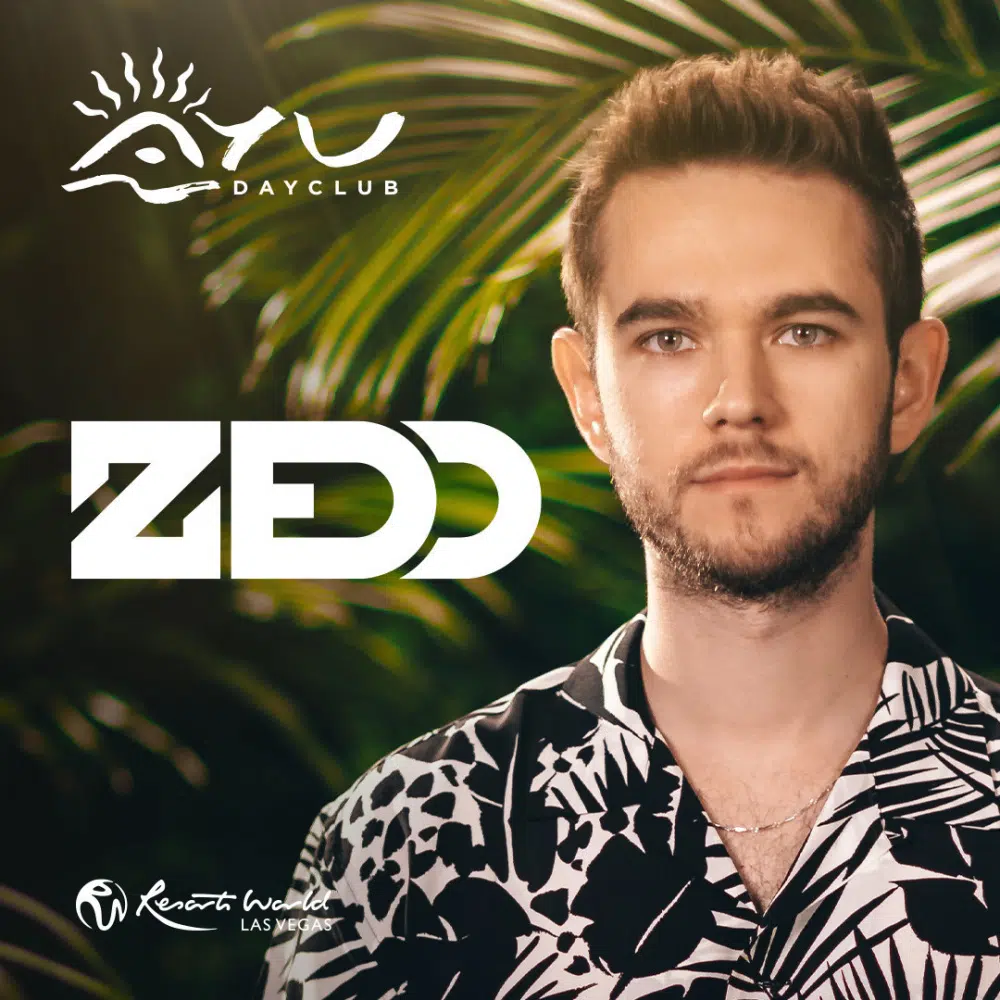 Zedd at AYU dayclub Las Vegas