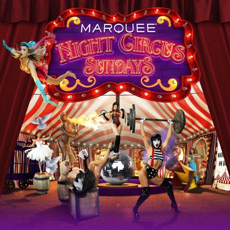 Night Circus Sundays at Marquee Night Club