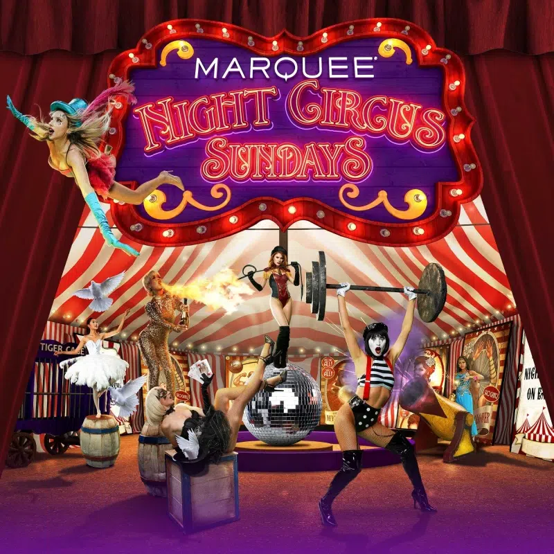 Night Circus Sundays at Marquee Night Club